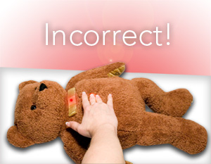Incorrect Bear Compression
